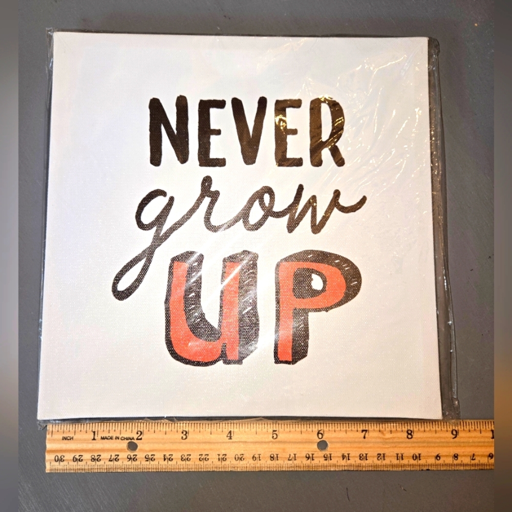 Inspirational Wall Art - Never Grow Up Canvas NEW